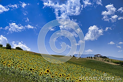 Landscape near Ascoli Piceno at summer Stock Photo