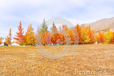 Landscape near Dorp op die Berg in South Africa Stock Photo