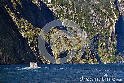 Landscape in New Zealand Fjordland, Milford Sound Stock Photo