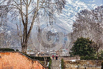 The view of Nishat Bagh Mughal Garden during winter season, Srinagar, Kashmir, India Editorial Stock Photo