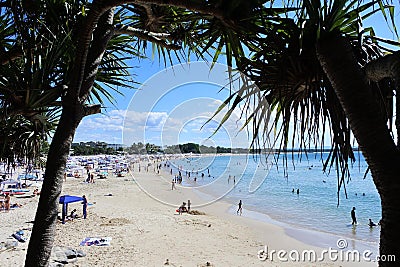 Landscape of Noosa Heads manin beach Queensland Australia Editorial Stock Photo