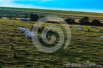 Landscape in Northern Ireland Stock Photo