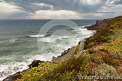 Landscape of the ocean and waves crashing on the rocks. View of the flowers blooming on the rocky slopes of the shore and the clou Stock Photo