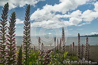Landscape of Osorno Volcano and Llanquihue Lake at Puerto Varas, Chile, South America. Stock Photo