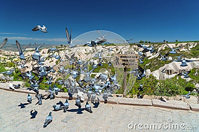 Pigeon valley, Goreme national park, Cappadocia Turkey Stock Photo