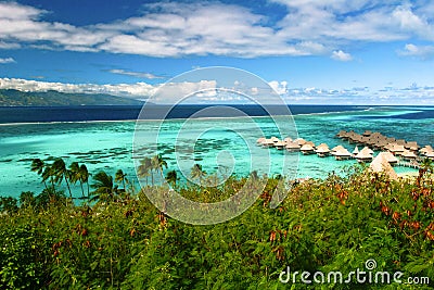 Landscape of paradise island Moorea, Stock Photo