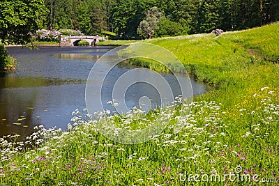 Landscape, Pavlovsk Park Stock Photo