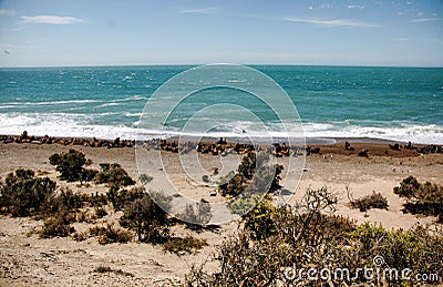 Landscape in Peninsula valdes Stock Photo