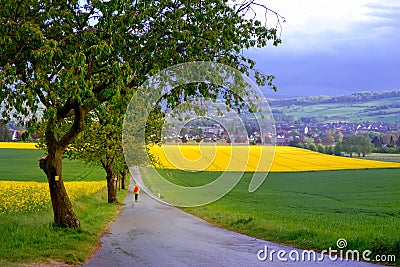 Landscape with a person in a yellow jacket and a dog in fields of blooming rapeseed in Germany Stock Photo
