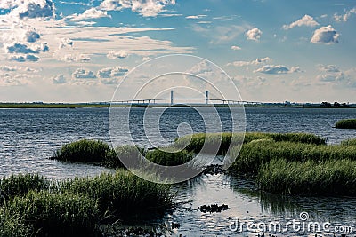 Landscape photo of saltwater marsh with bridge in background Stock Photo