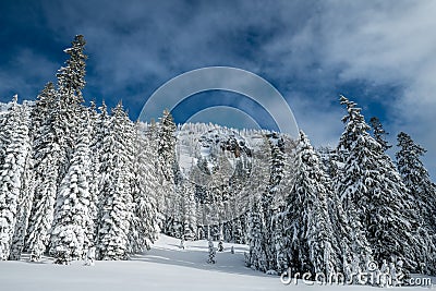 Inter Forest Crater Lake Snowy Mountain Landscape Photograph Oregon Pacific Northwest Mountain Trees Stock Photo