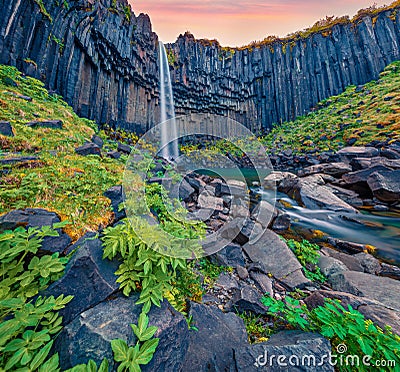 Landscape photography. Fabulous morning view of Svartifoss Waterfall. Stock Photo