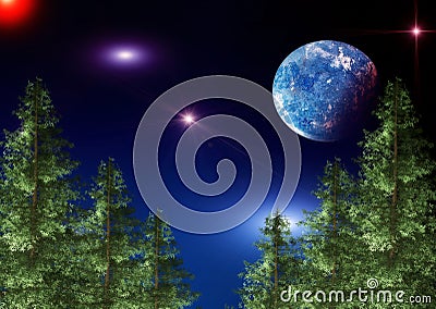 Landscape with pine trees and the night sky with stars Stock Photo