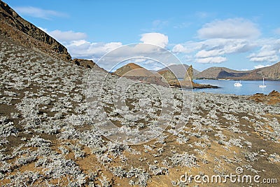 Landscape of pinnacle Rock and surroundings Stock Photo