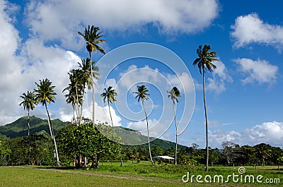 Landscape of Rarotonga Cook Islands Stock Photo