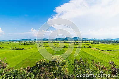 Landscape of the rice field with vague mountain behind.Thailand. Stock Photo