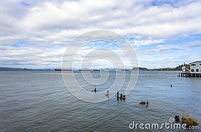 Landscape with rotten wooden pillars of an old marina on the background of commercial ships standing on a roadstead in Astoria at Stock Photo
