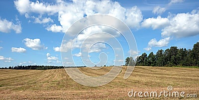 Landscape with rural road through a field Stock Photo