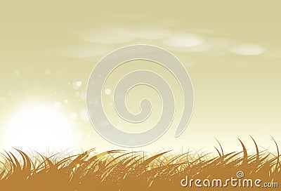 Landscape rural sunset, rice and grass farm vector illustration Vector Illustration