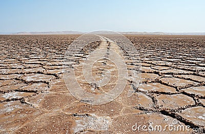 Wheel tracks on salt flat polygons of desert Stock Photo