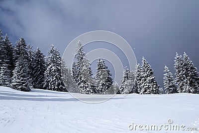 Landscape in Saua Baiului. Stock Photo