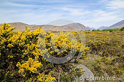 A landscape scene of the Mourne Mountains, also called the Mournes or Mountains of Mourne, County Down, Northern Ireland. Stock Photo