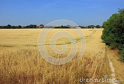 A landscape scene of the North Kent countryside Stock Photo