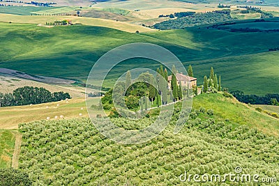 Landscape scenery of Tuscany in Italy, with cypresses trees and green field with beautiful colors on summer day, travel Stock Photo