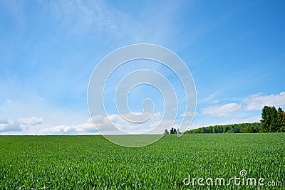 Landscape scenery view with green meadows and blue sky on a summer day on certified climatic health resort Gaiberg in Germany Stock Photo