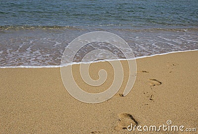 Footprints in the sand on the sea beach Stock Photo