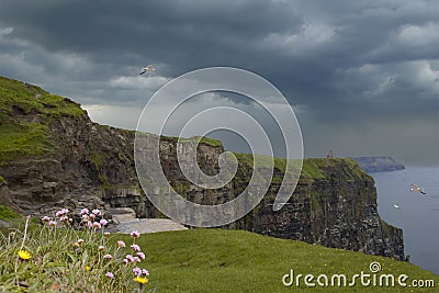 Landscape of seagulls flying in Irish cliff under stormy clouds Stock Photo