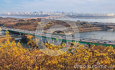 Landscape of Seoul City with forsythia flower Stock Photo