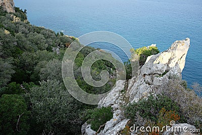 Landscape with sharp cliff in rocky shore covered with dense southern vegetation and wonderful clean turquoise water Mediterranean Stock Photo