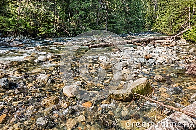 Denny Creek Rocks And Logs 4 Stock Photo