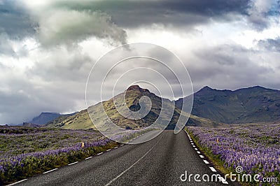 Landscape shot of a road in a lavender field leading to hills Stock Photo