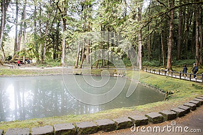 Landscape of Sister ponds in Alishan National Forest Recreation Area in Taiwan Editorial Stock Photo