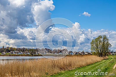 landscape with small creek and reed grass at the backwater area in Usedom Stock Photo