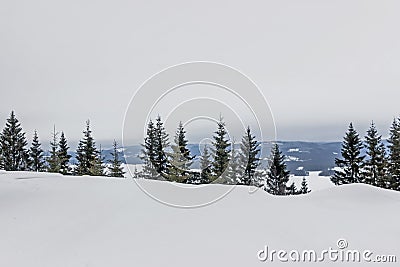 Landscape of snow on pine trees on hill Stock Photo