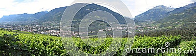 Landscape of South Tyrol with traditional cultivated lands Stock Photo