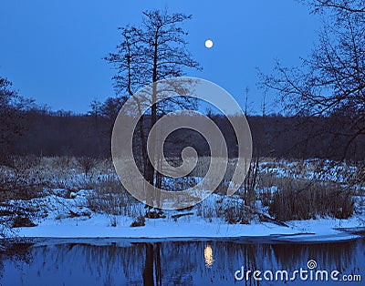 Landscape of spring, night forest,river. Full moon in the wood. Enchanting night scenery in outdoors Stock Photo