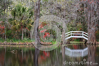 Charleston South Carolina SC Garden Bridge Pond Stock Photo