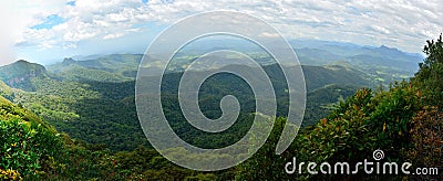 Landscape in Springbrook National Park in Australia. Stock Photo