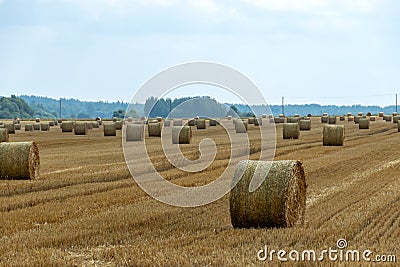 Landscape with straw rolls on a fallow field, late summer in nature Stock Photo
