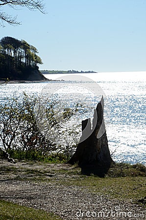 Landscape with a stump of a broken tree in foreground and a peninsula in the background Stock Photo