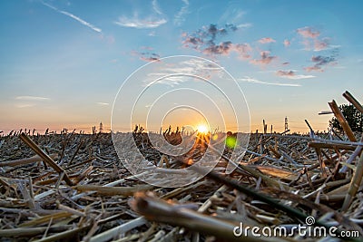 Countryside scene of fields and electricity pylons against the golden sunset sky Stock Photo