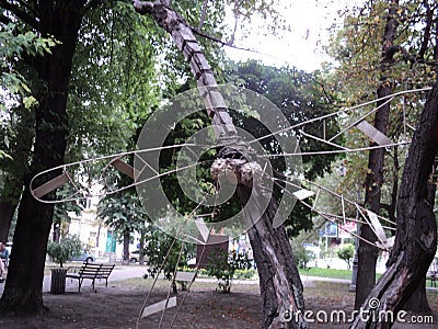 walk in the city park view of the sculpture wooden dragonfly Editorial Stock Photo