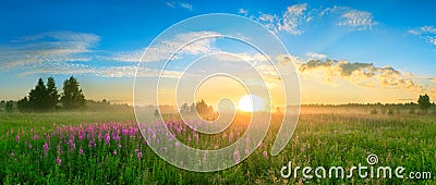 Landscape with the sunrise, a blossoming meadow panorama Stock Photo