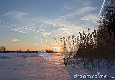 Landscape.sunrise,frozen river, reeds in the morning mist. Stock Photo