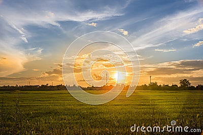 Landscape sunset on rice field with beautiful blue sky and clouds Stock Photo