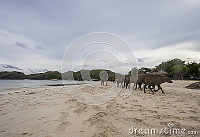 Landscape of Tanjung Aan Beach with the sand in Lombok, West Nusa Tenggara, Indonesia Stock Photo